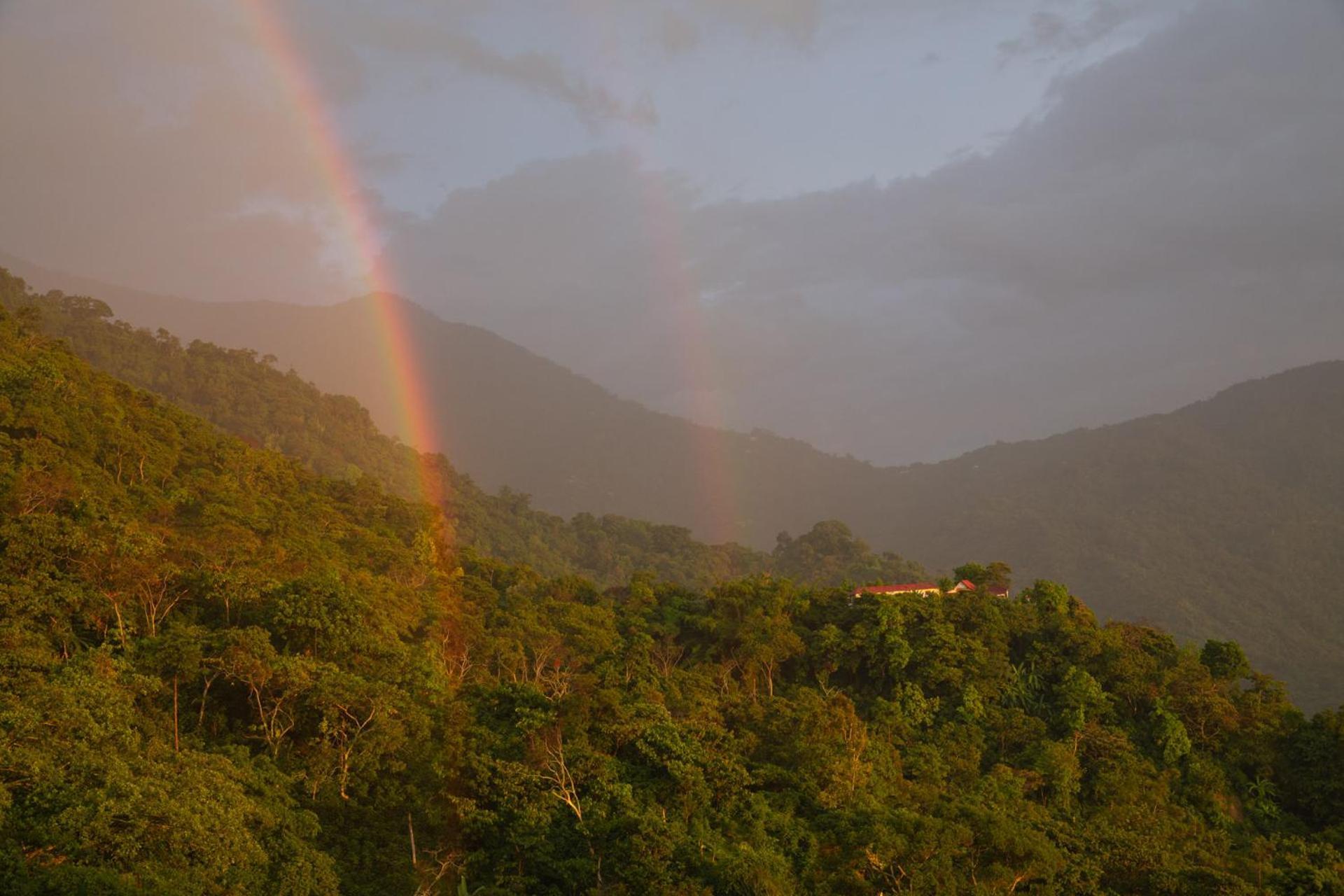 Mundo Nuevo Eco Lodge Minca Ngoại thất bức ảnh
