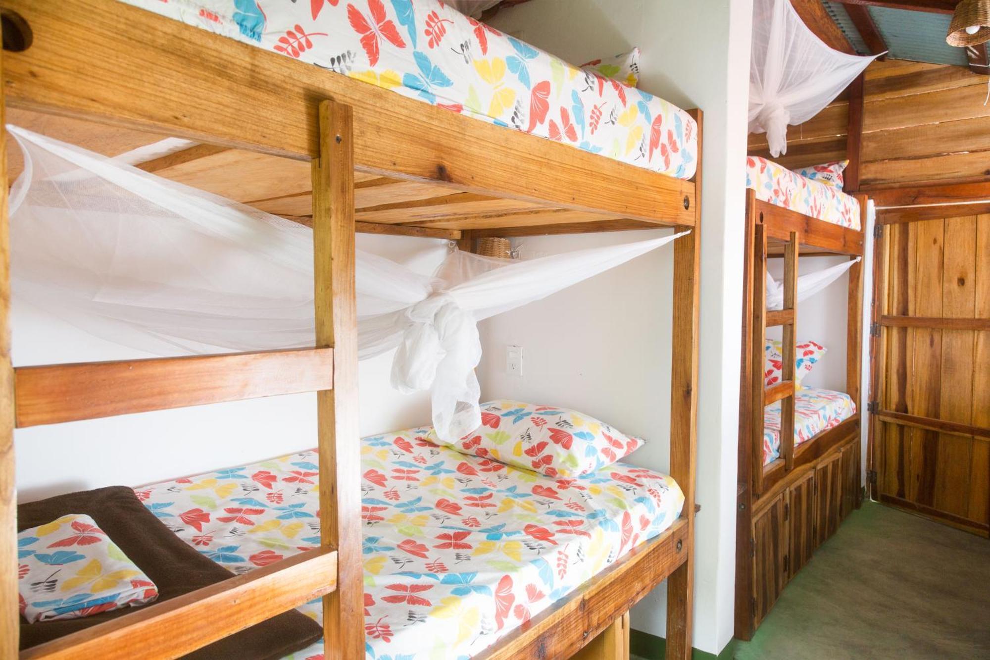 Mundo Nuevo Eco Lodge Minca Phòng bức ảnh