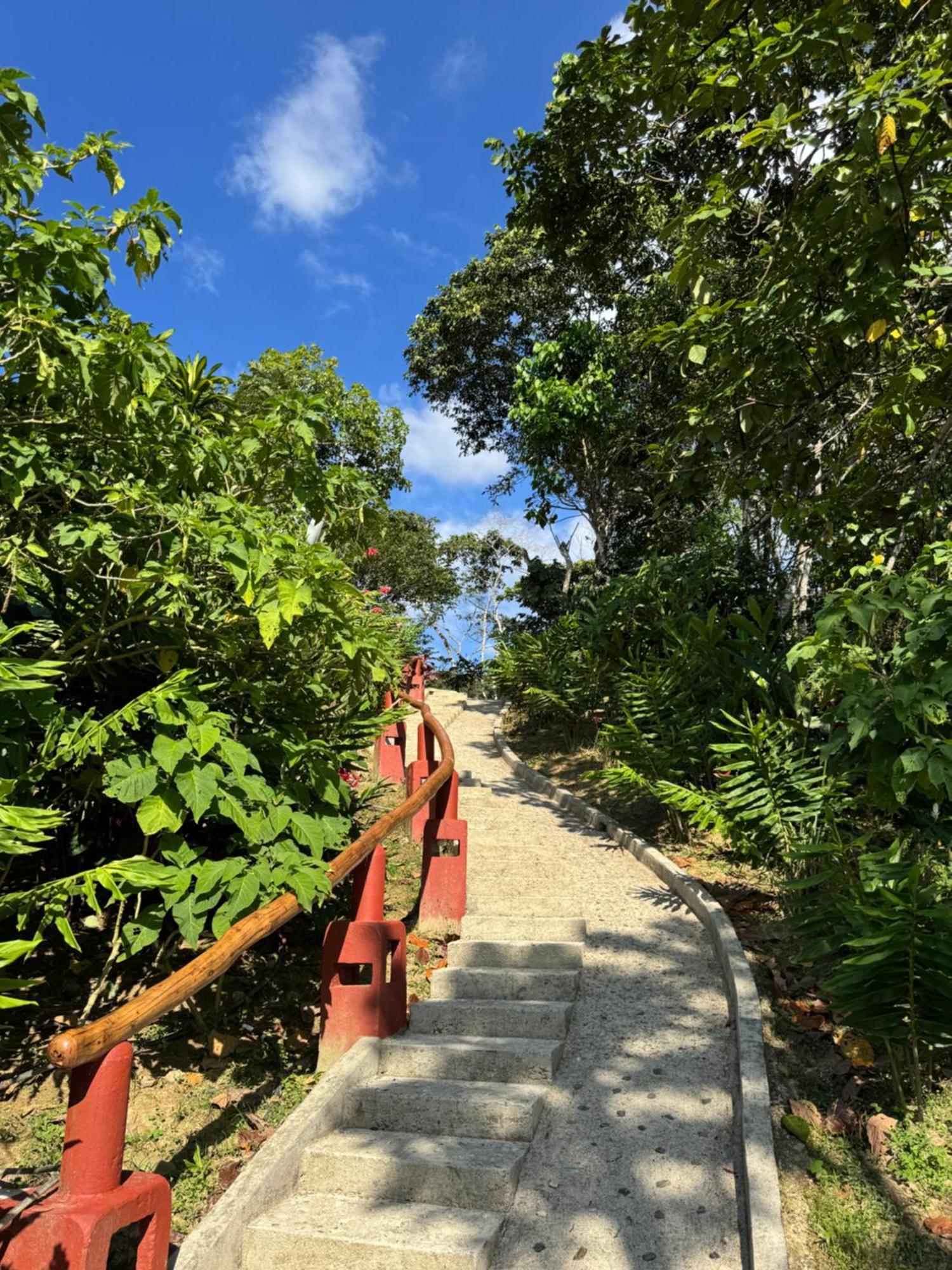 Mundo Nuevo Eco Lodge Minca Ngoại thất bức ảnh